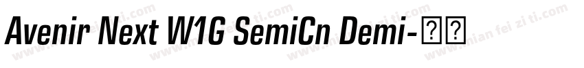 Avenir Next W1G SemiCn Demi字体转换